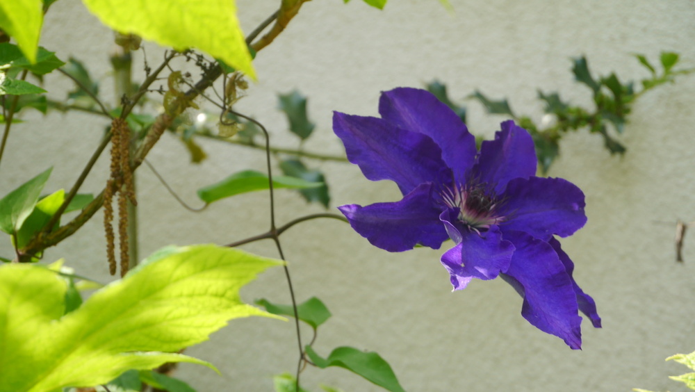 Le Jardin Chez Pia et Alain