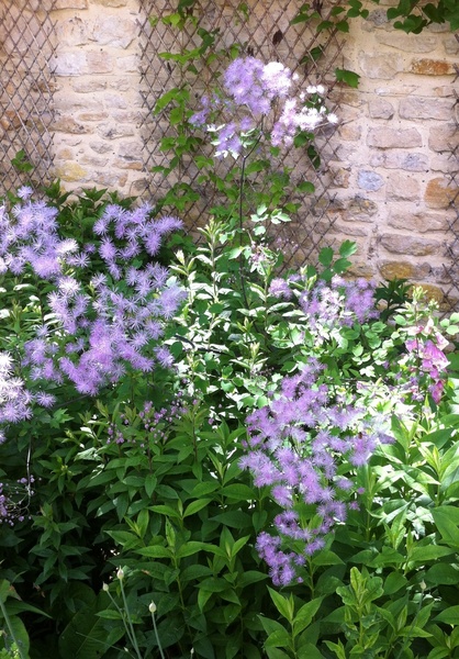 Jardin du Château de Corbelin