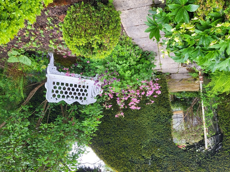 LE JARDIN DES SONGES
