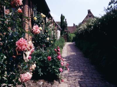 JARDIN DE LA VILLE DE GERBEROY