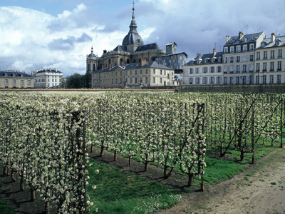 POTAGER DU ROI - ECOLE NATIONALE SUPÉRIEURE DU PAYSAGE