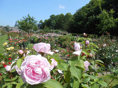 PARC ET ROSERAIE DU CHATEAU DE RAMBURES