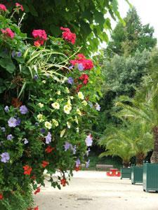 JARDIN DES PLANTES DE CAEN