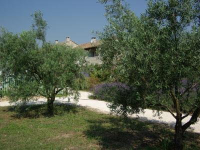 JARDIN D'ALCINOOS