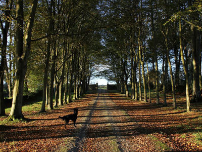 Parc du château de Carneville