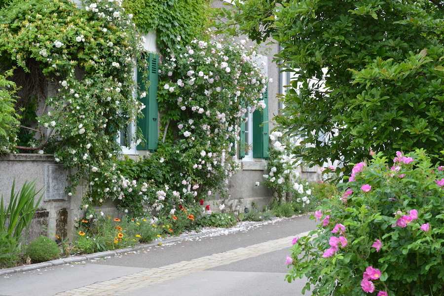 Chédigny village jardin