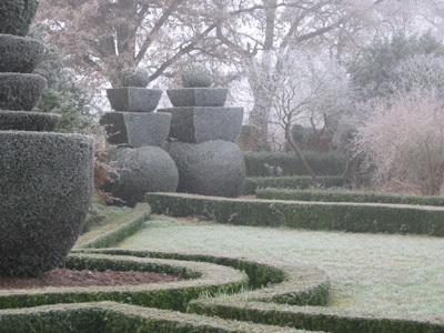 JARDIN DE GRENOUILLON