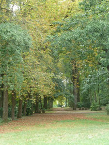 Parc du Château de la Droitière