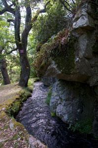 La Forge de Montolieu