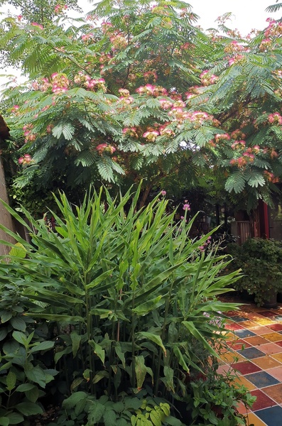 Jardin botanique de la Florendière