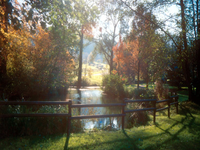 JARDIN BOTANIQUE JEAN-MARIE PELT