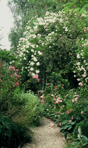 LES JARDINS DE SONJA