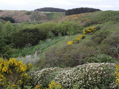 JARDIN LA BOULAYE