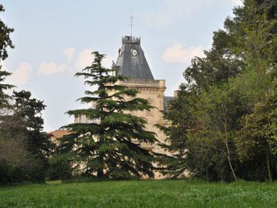 Parc du Château d'Espeyran