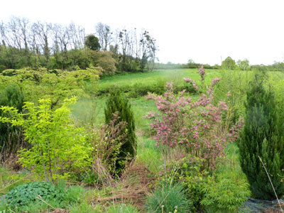 Le Jardin de l'Abbaye