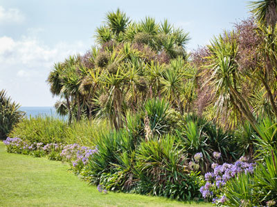 JARDIN BOTANIQUE DE VAUVILLE