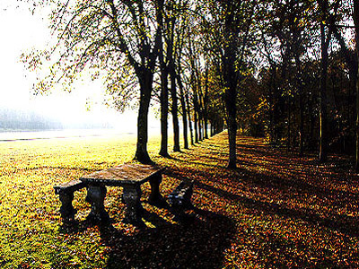 PARC DU CHATEAU DE BOURRON