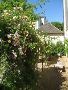 Jardin de l'Hôtel Dieu - Musée Greuze