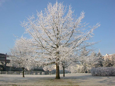 PARC RICHARD POUILLE