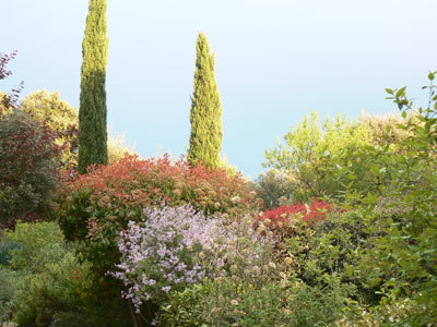 JARDIN DE LA TAILLADE