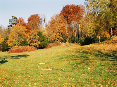 PARC DE LA FONTAINE AUX PIGEONS