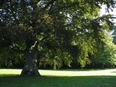 Parc et Jardin du Château Duriez