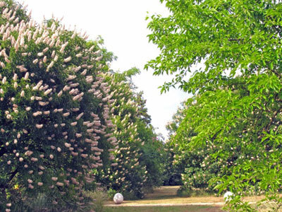 Parc Botanique de Breil de Foin