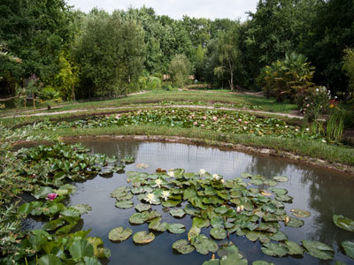 LES JARDINS DU LORIOT