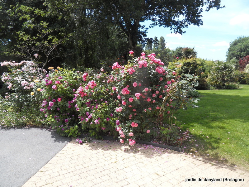 Le jardin de Danyland