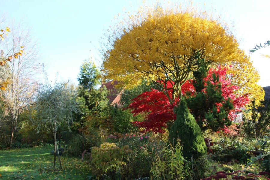 Reflets de Jardin