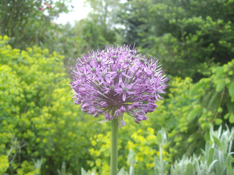 Un Jardin à Landrévarzec