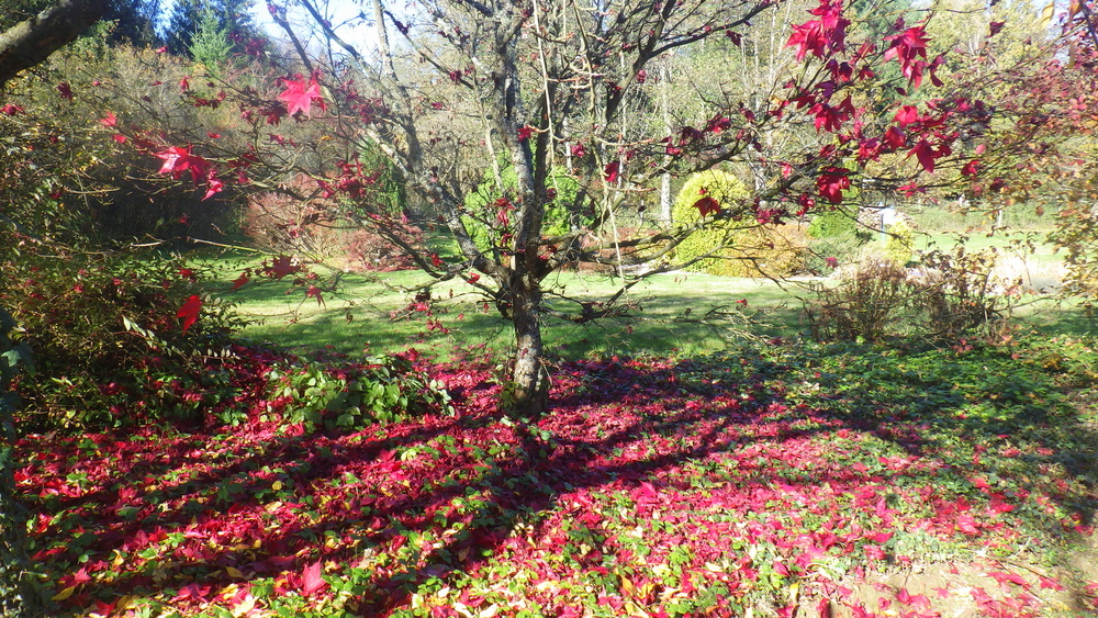 JARDIN POUR LA TERRE