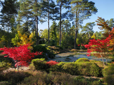 ARBORETUM DES GRANDES BRUYÈRES