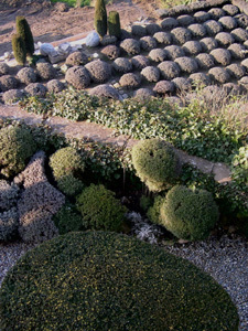 Jardin de La LOUVE