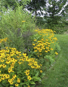 JARDIN DES EVOUETTES