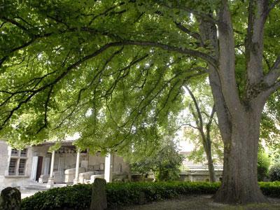 Jardin du Musée de la Princerie