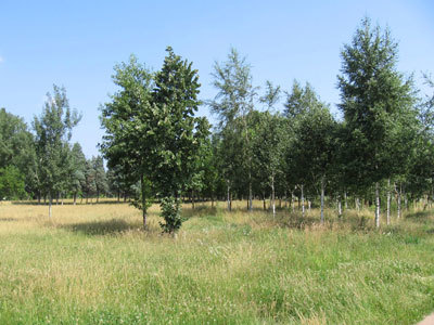 PARC DE GERLAND