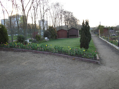 ASSOCIATION DES JARDINS FAMILIAUX CROIX DU SUD