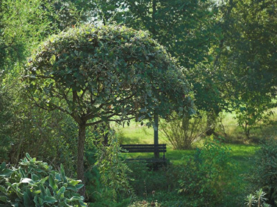 LE JARDIN D'EN GALINOU