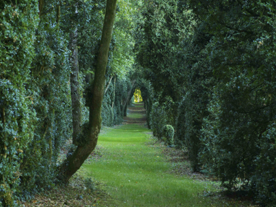 Parc du château de Pesselières