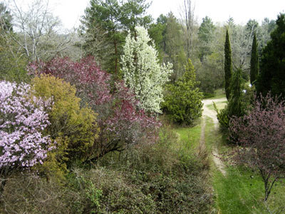 ARBORETUM DE LA MARTINIÈRE