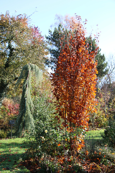 Reflets de Jardin