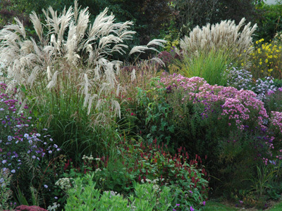 Pépinière Jardin Antoine Breuvart