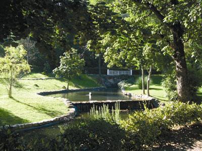 VILLAGE ARBORETUM