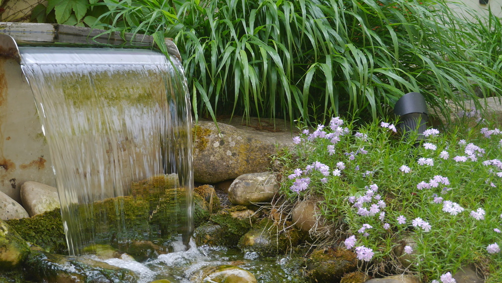 Le Jardin Chez Pia et Alain