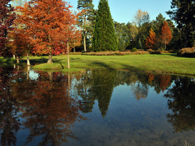 ARBORETUM DES GRANDES BRUYÈRES