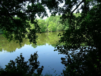 PARC DU CHÂTEAU DU MARTREIL