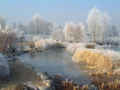 LES JARDINS AQUATIQUES