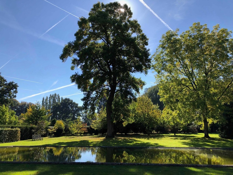 PARC DU CHATEAU DE BARLY