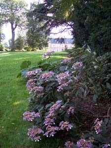 JARDIN DU CHÂTEAU DE PUISIEUX ET CLANLIEU